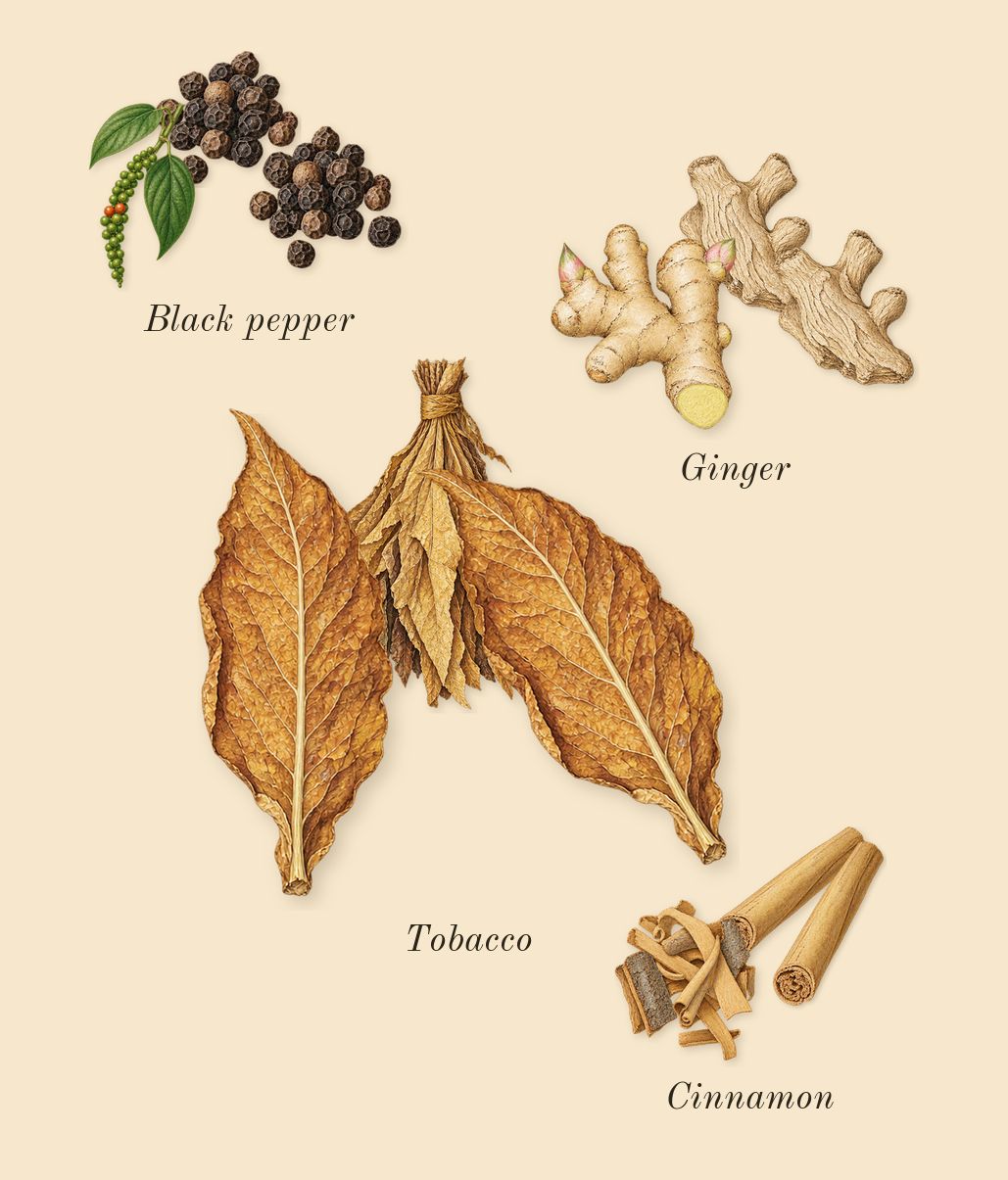 Amber Oud Tobacco Edition, top notes: Ginger, Black pepper, Cinnamon, Tobacco