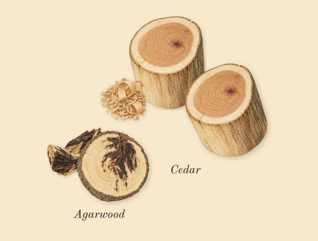 Detour Eco, dry-down: Agarwood, Cedar