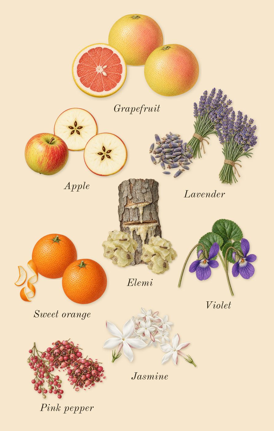 Detour Noir, top notes: Apple, Lavender, Violet, Jasmine, Grapefruit, Pink pepper, Elemi, Sweet orange
