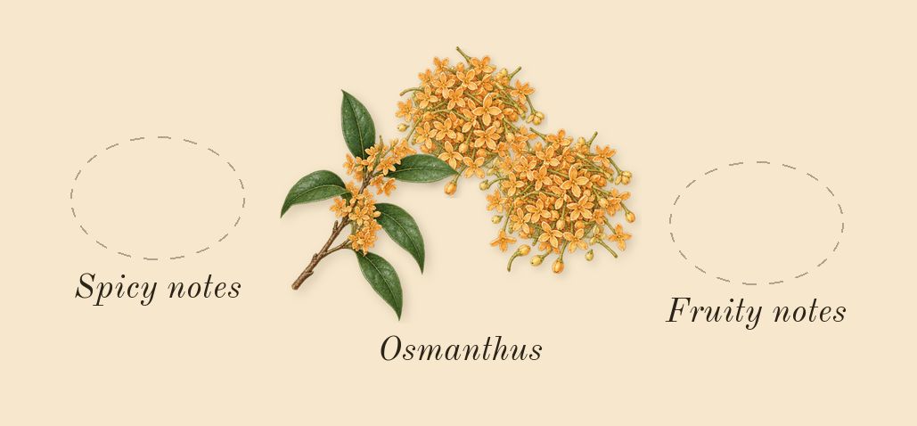 Zahara Amber Dubai, top notes: Osmanthus