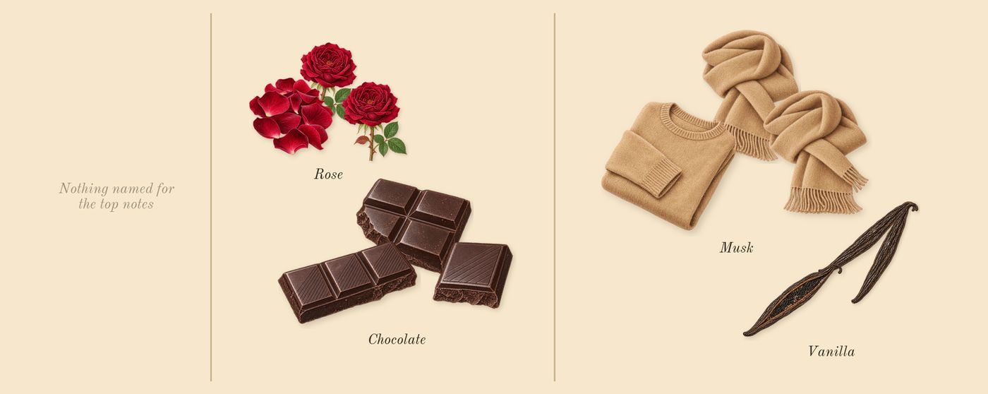Choco Musk’s scent picture, a draft: chocolate, musk, rose, vanilla drawn so far; dashed outlines where nothing is drawn yet