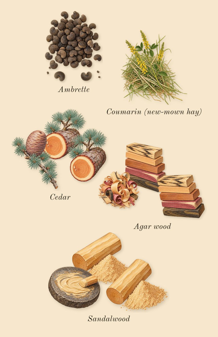 Kayaan Classic, dry-down: Sandalwood, Ambrette, Agar wood, Cedar, Coumarin (new-mown hay)