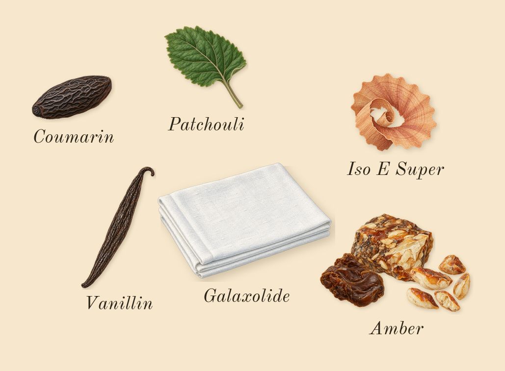 Amiri, dry-down: Patchouli, Iso E Super, Galaxolide, Coumarin, Vanillin