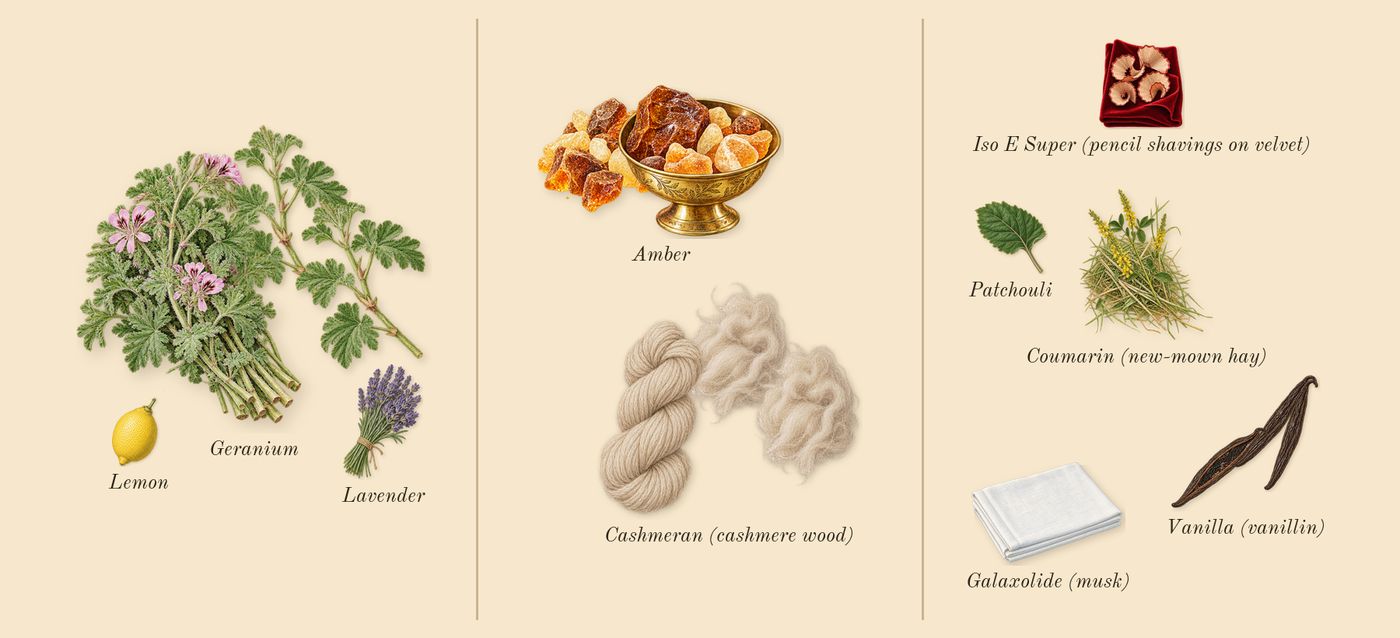 Arabian Knight Silver’s scent picture, a draft: geranium, cashmeran (cashmere wood), amber, vanilla (vanillin), patchouli, lemon drawn so far; dashed outlines where nothing is drawn yet