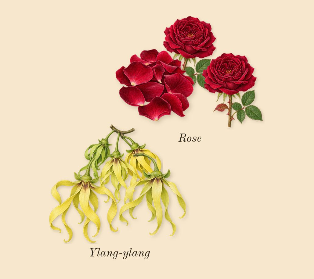 Kashmir Musk, heart: Ylang-ylang, Rose, Cashmere musk