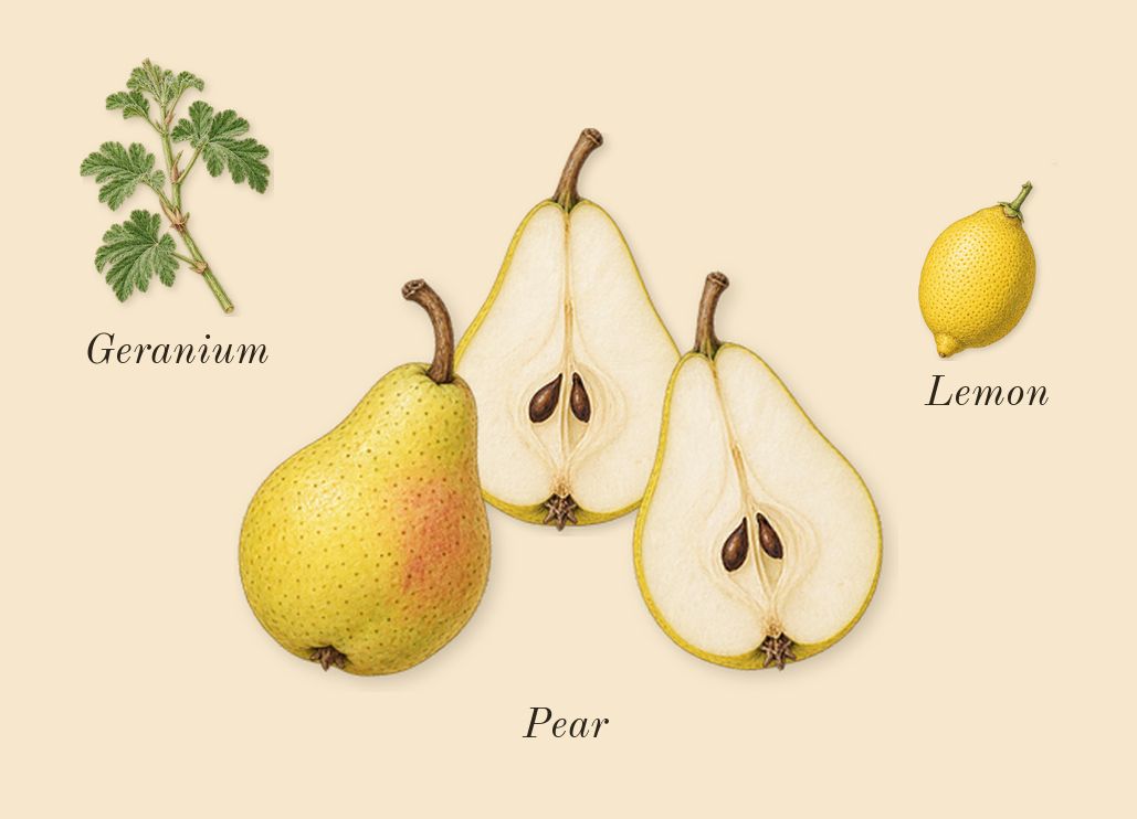 Kashmir Musk, top notes: Pear, Geranium, Lemon