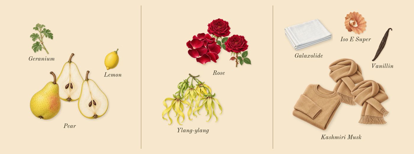 Kashmir Musk’s scent picture, a draft: pear, ylang-ylang, rose, kashmiri musk, cashmere musk, geranium drawn so far; dashed outlines where nothing is drawn yet