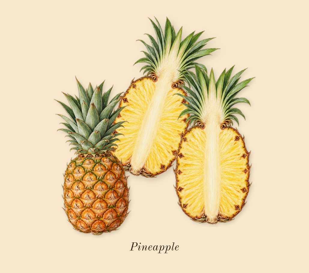 Madawi, top notes: Pineapple