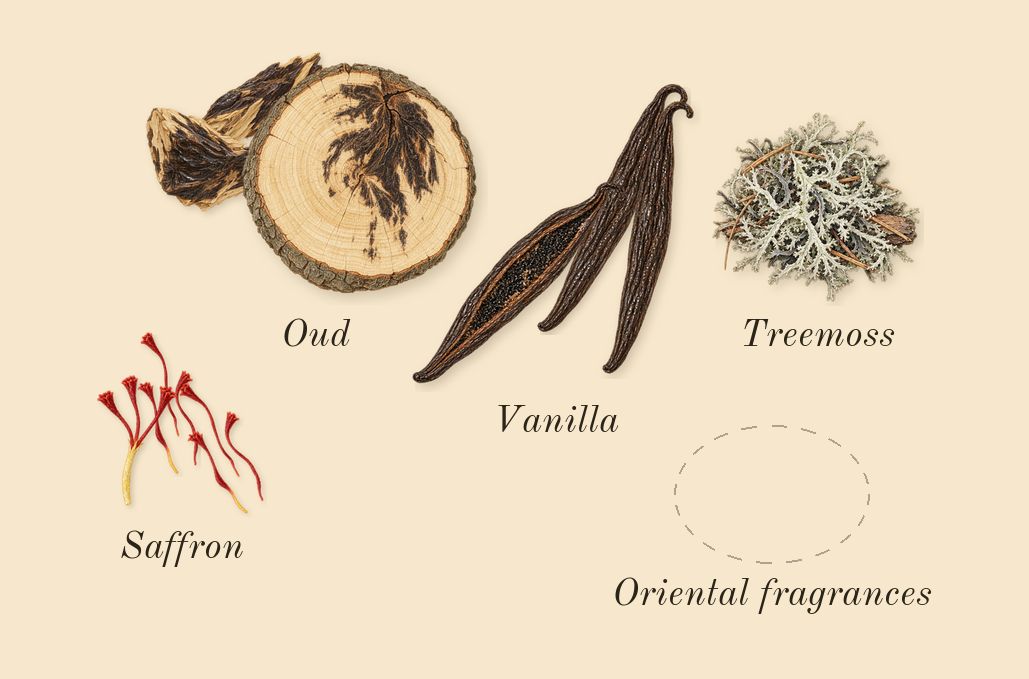 Resala, dry-down: Vanilla, Saffron, Oud, Treemoss