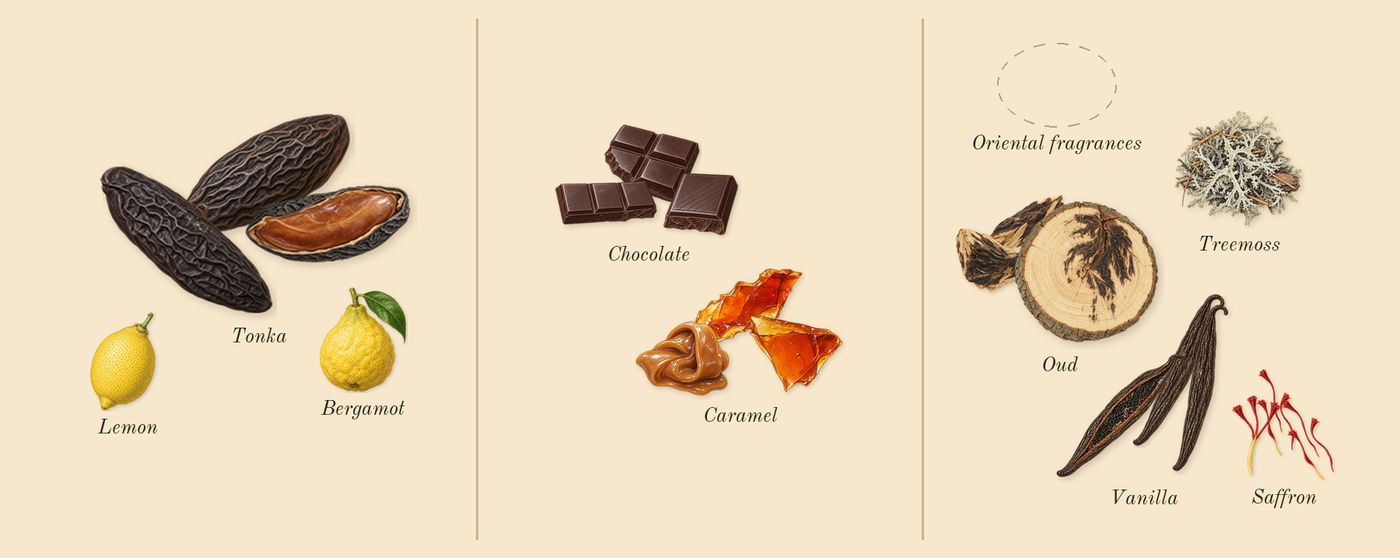 Resala’s scent picture, a draft: tonka, caramel, vanilla, saffron, oud, chocolate drawn so far; dashed outlines where nothing is drawn yet