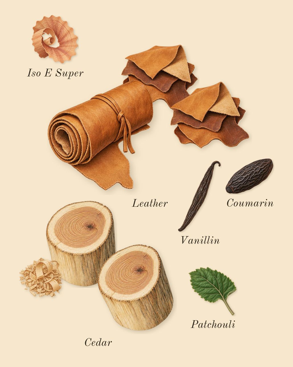 Taraf, dry-down: Leather glove, Cedar, Patchouli, Iso E Super, Coumarin, Vanillin