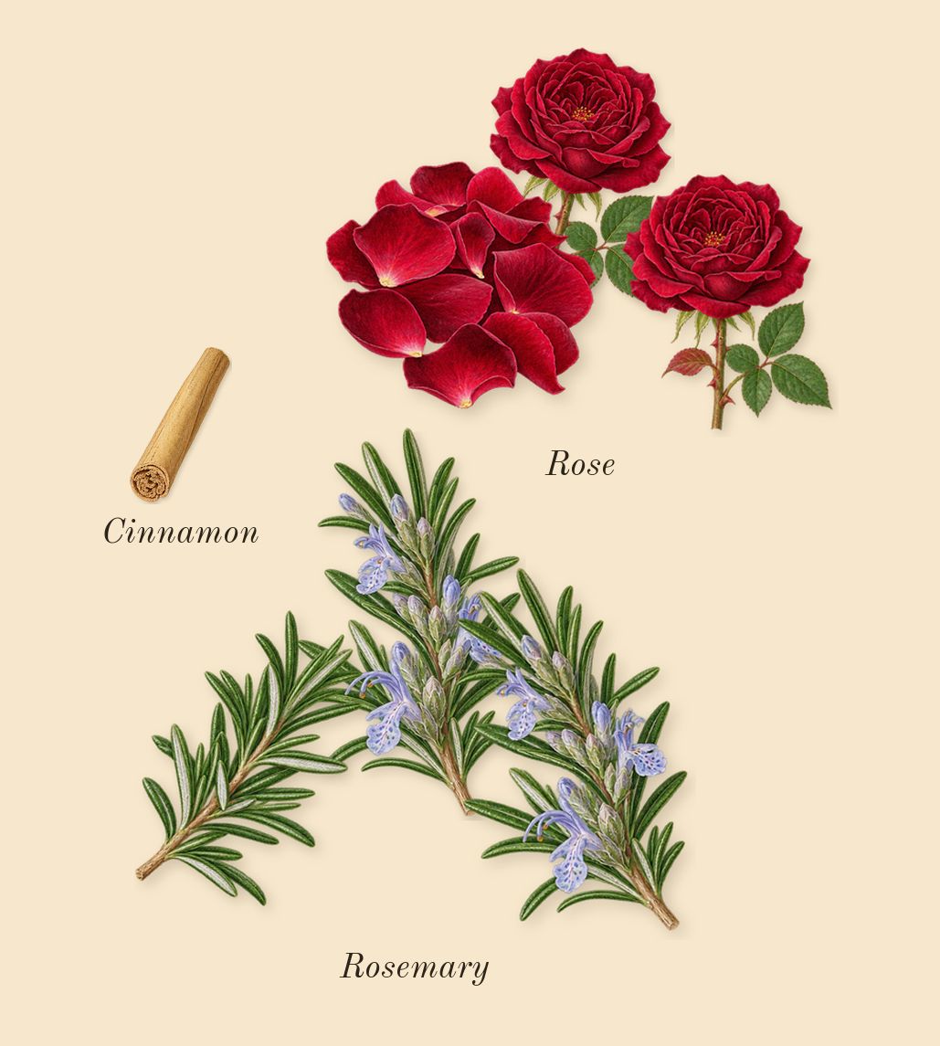Taraf, heart: Rose, Rosemary, Cinnamon