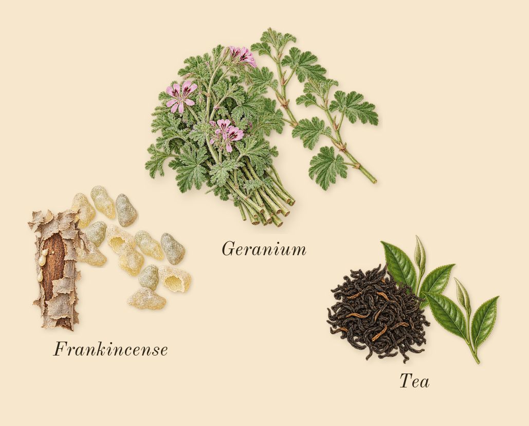 Marwa, heart: Geranium, Tea, Frankincense