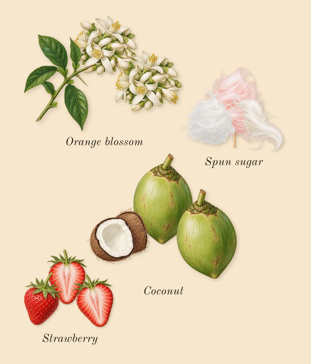 Pink Blush Shams Al Emarat Khususi, heart: Spun sugar, Strawberry, Coconut, Orange blossom