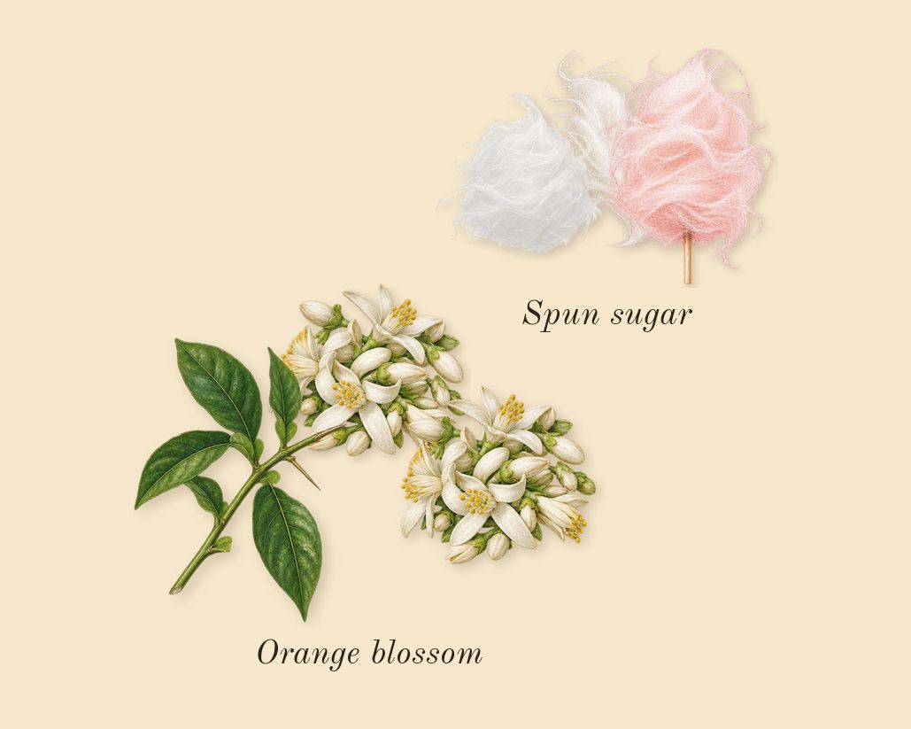 Shams Al Emarat Khususi Iced Petal, heart: Orange blossom, Spun sugar