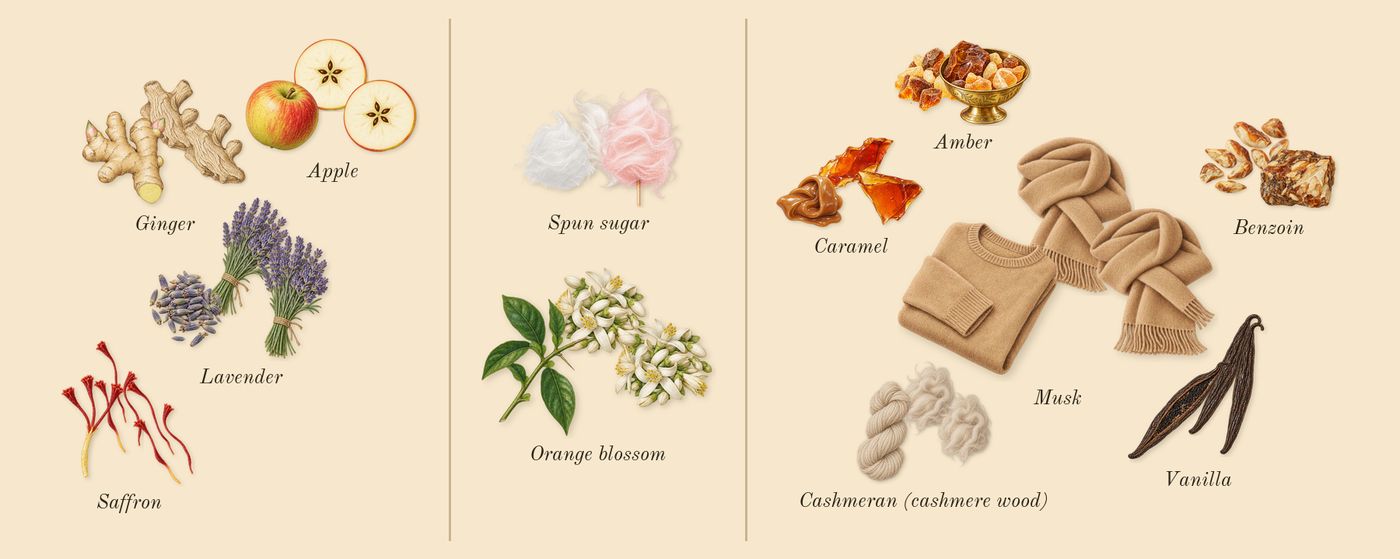 Shams Al Emarat Khususi Iced Petal’s scent picture, a draft: ginger, lavender, saffron, apple, orange blossom, spun sugar drawn so far; dashed outlines where nothing is drawn yet