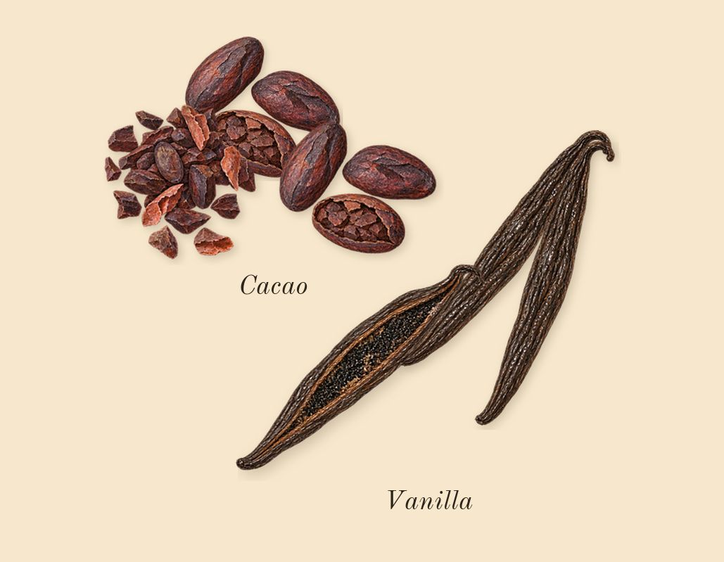 MOD Vanilla, dry-down: Vanilla, Cacao