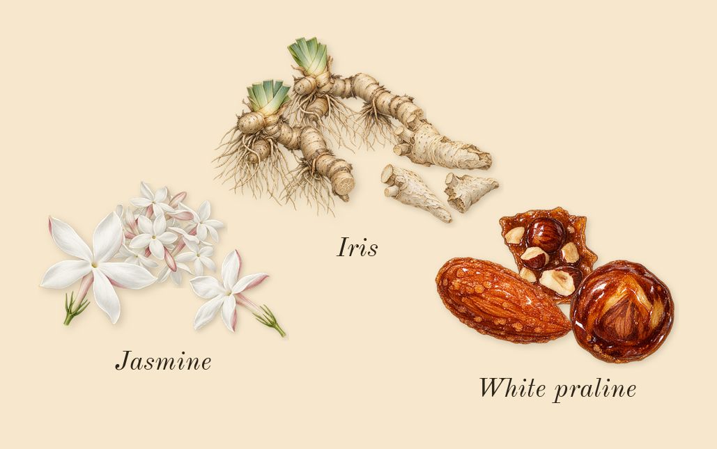 MOD Vanilla, heart: Iris, White praline, Jasmine