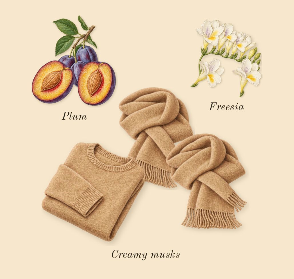 MOD Vanilla, top notes: Freesia, Plum, Creamy musks