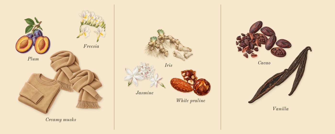 MOD Vanilla’s scent picture, a draft: freesia, plum, creamy musks, iris, white praline, jasmine drawn so far; dashed outlines where nothing is drawn yet
