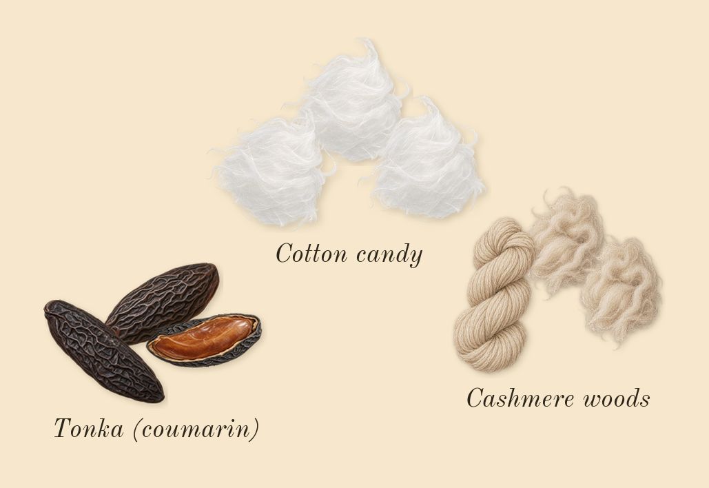 Pink Woods, dry-down: Tonka (coumarin), Cashmere woods, Cotton candy