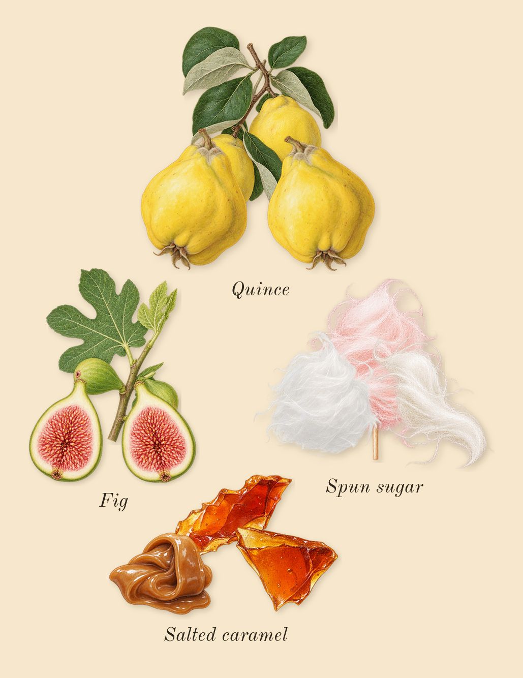 R.E.M., top notes: Quince, Fig, Salted caramel, Spun sugar
