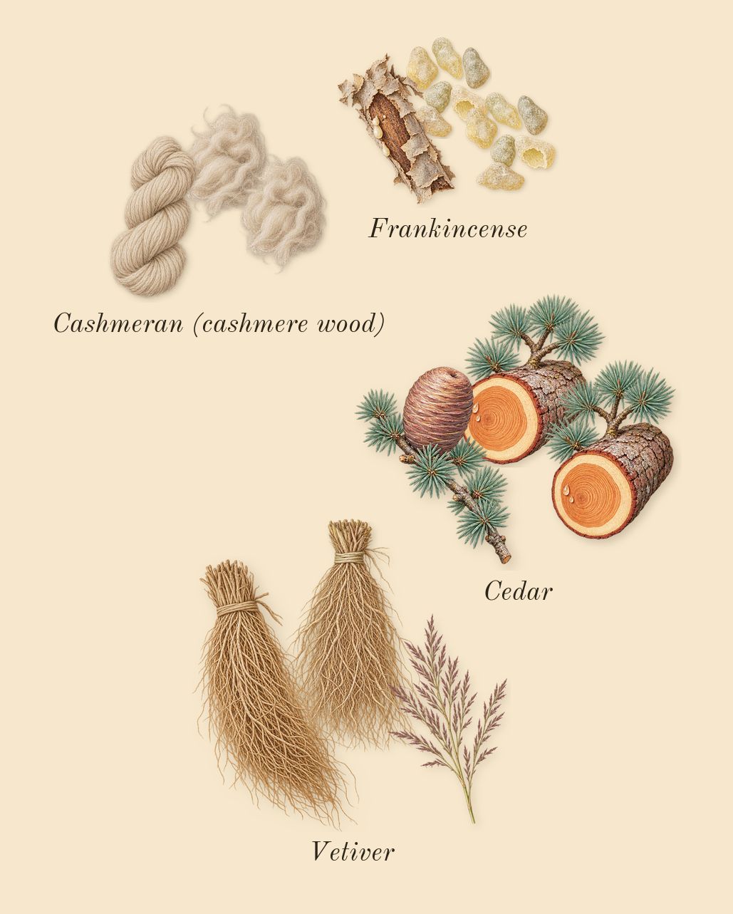 Club de Nuit Imperiale, dry-down: Cashmeran (cashmere wood), Cedar, Frankincense, Vetiver