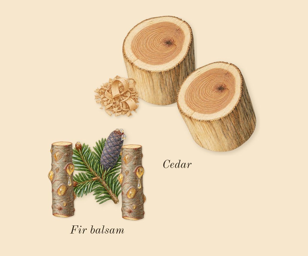 Club de Nuit Untold, dry-down: Fir balsam, Cedar