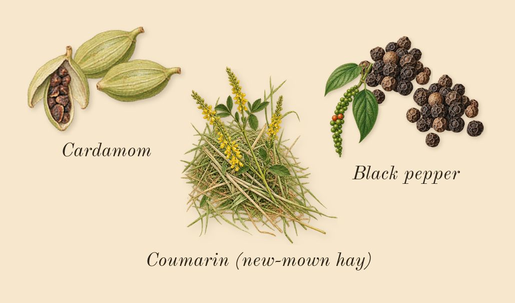 Hunter Intense, dry-down: Black pepper, Cardamom, Coumarin (new-mown hay)