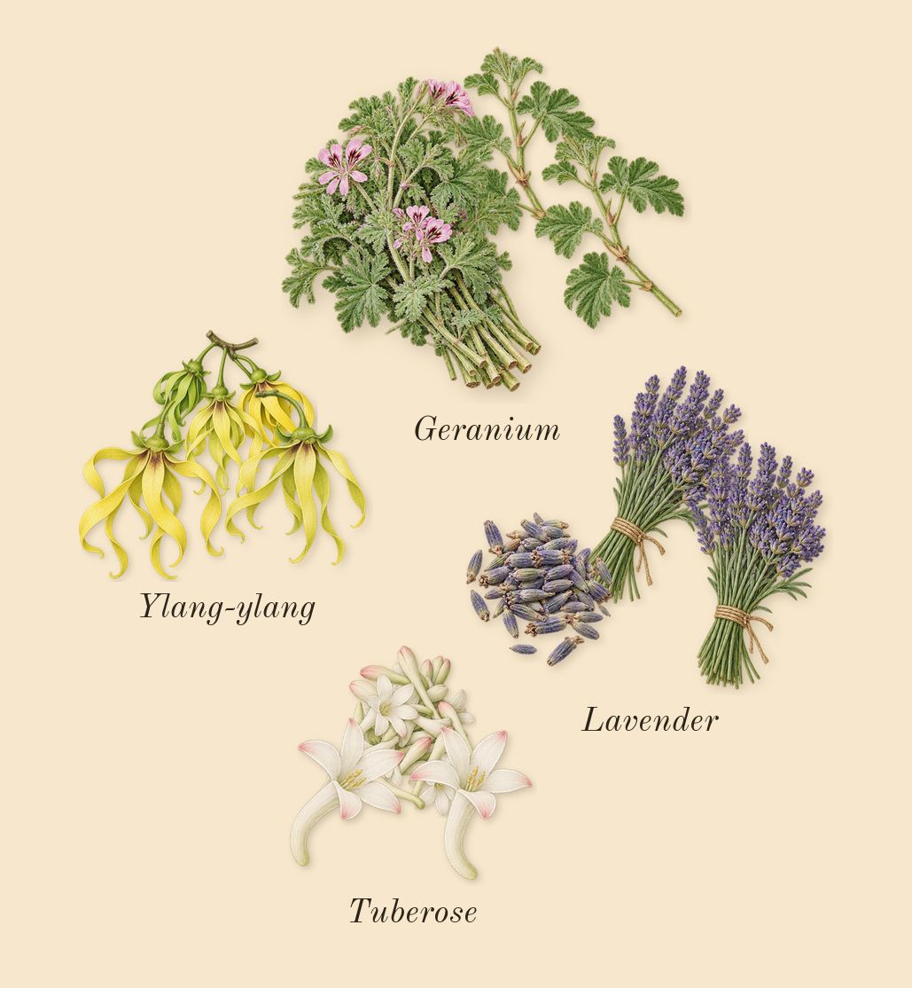 Hunter Intense, heart: Lavender, Geranium, Ylang-ylang, Tuberose