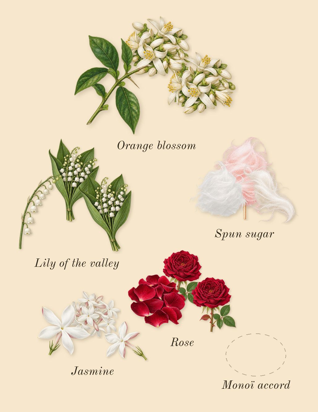 Odyssey French Kiss, heart: Rose, Jasmine, Orange blossom, Lily of the valley, Monoï accord, Spun sugar