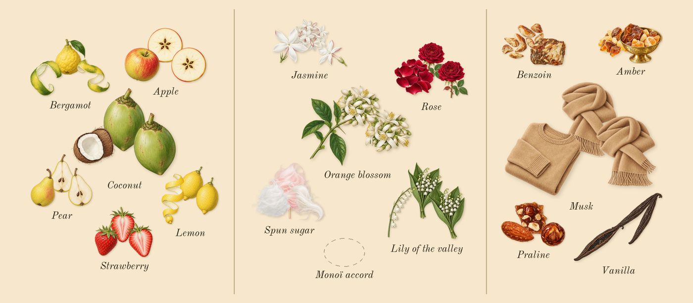 Odyssey French Kiss’s scent picture, a draft: apple, pear, strawberry, bergamot, lemon, coconut drawn so far; dashed outlines where nothing is drawn yet