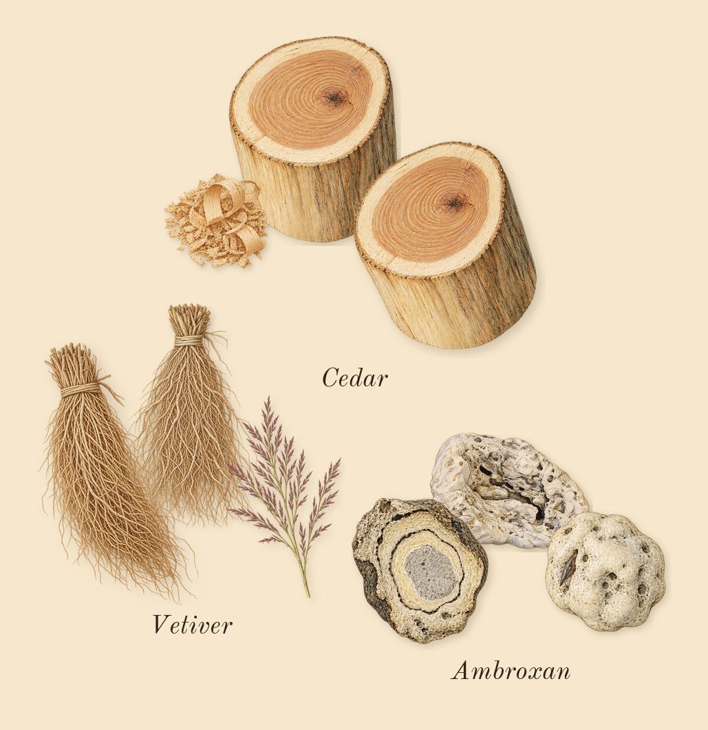 Odyssey Mandarin Sky, dry-down: Vetiver, Cedar, Ambroxan