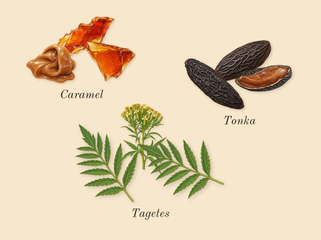Odyssey Mandarin Sky, heart: Caramel, Tonka, Tagetes