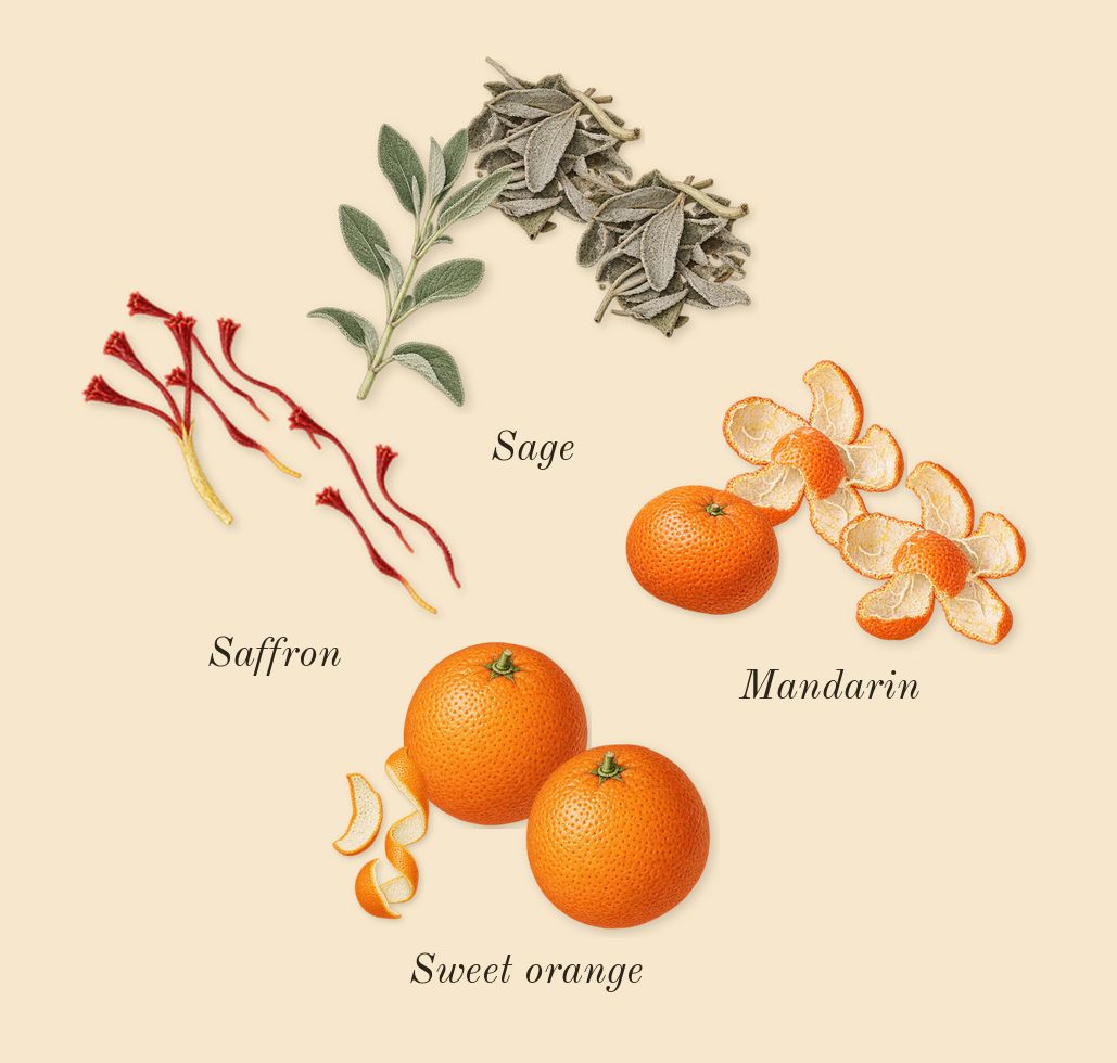 Odyssey Mandarin Sky, top notes: Sage, Mandarin, Sweet orange, Saffron