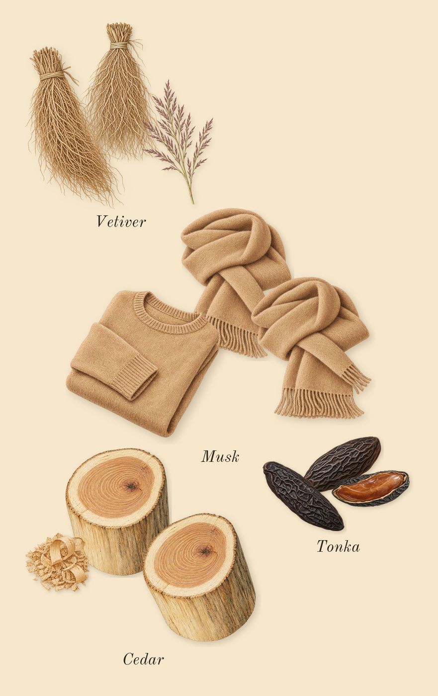 Odyssey Mega, dry-down: Musk, Cedar, Vetiver, Tonka
