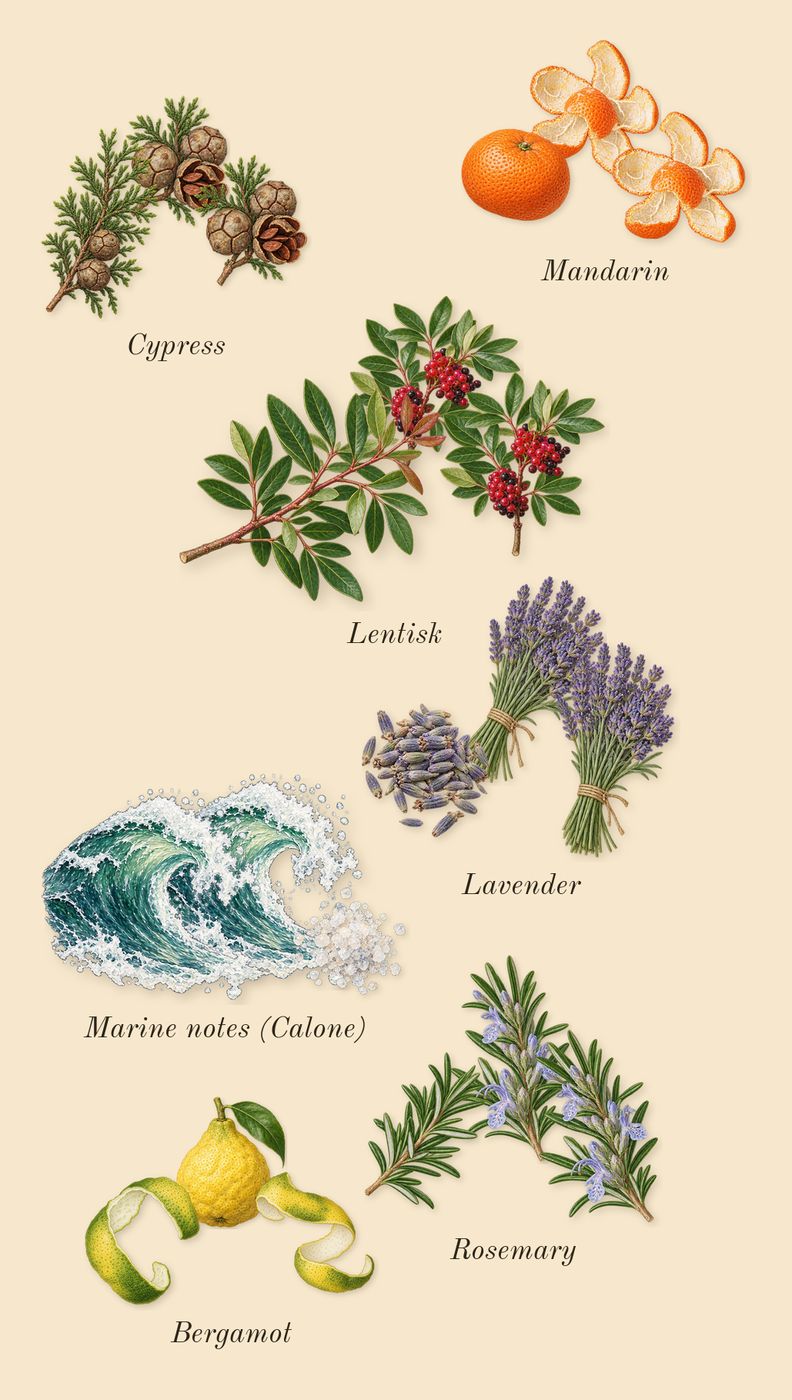 Acqua di Giò Profondo, top notes: Marine notes (Calone), Bergamot, Mandarin, Cypress, Lavender, Rosemary, Lentisk