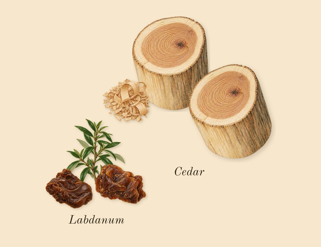 Acqua di Gioia, dry-down: Cedar, Labdanum