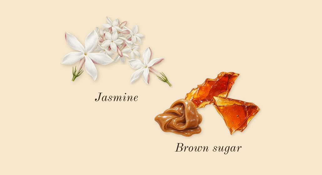 Acqua di Gioia, heart: Jasmine, Brown sugar