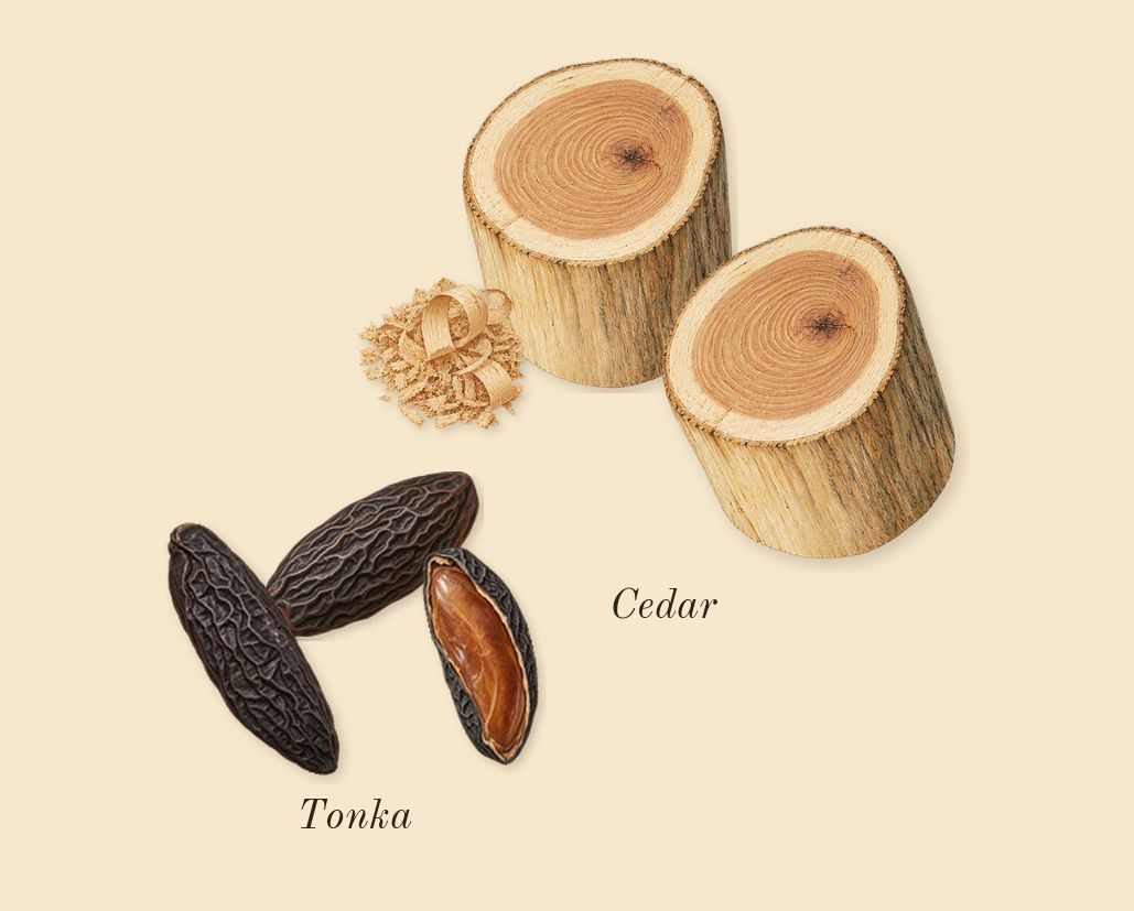 Code, dry-down: Tonka, Cedar