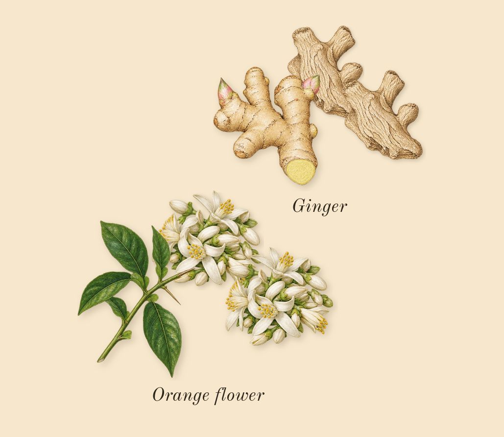 Code Femme, top notes: Orange flower, Ginger