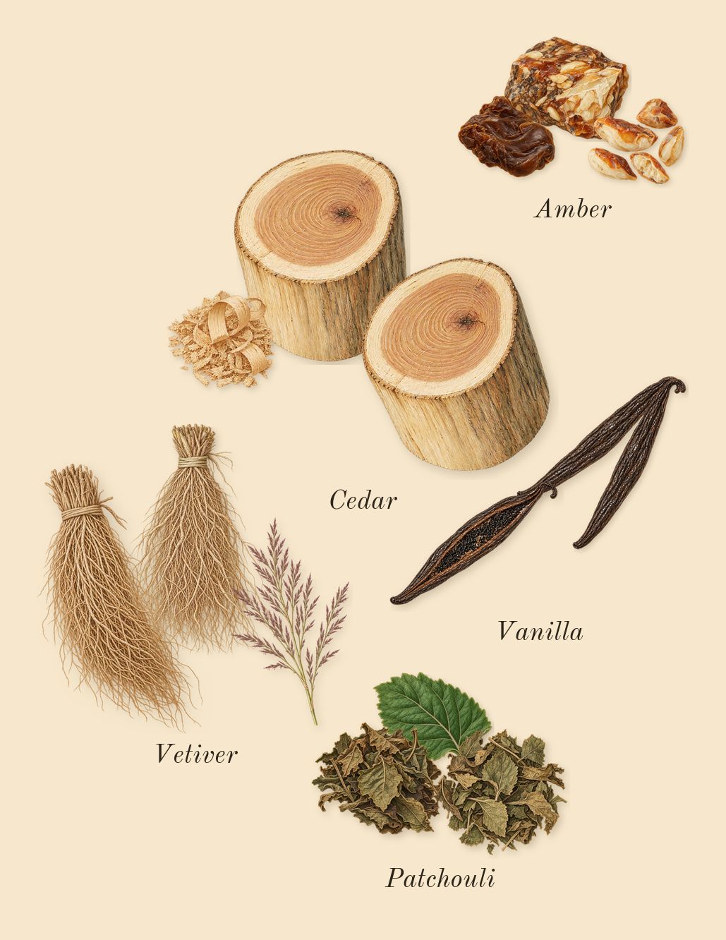 Diamonds, dry-down: Amber, Vetiver, Vanilla, Cedar, Patchouli