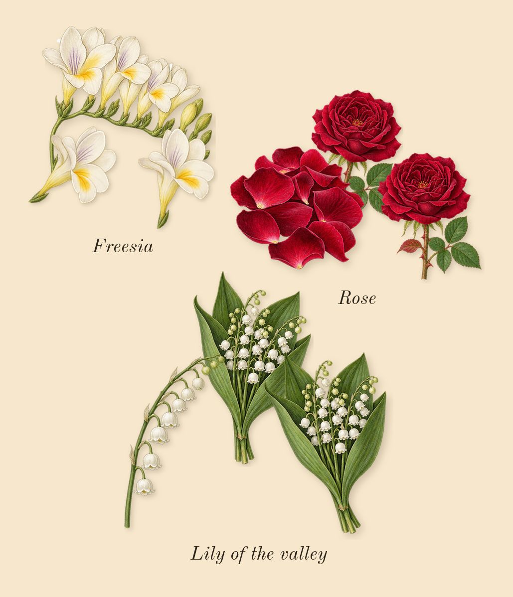 Diamonds, heart: Rose, Lily of the valley, Freesia