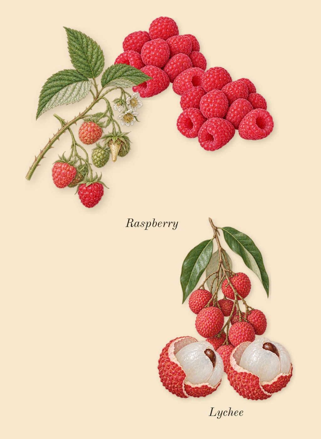 Diamonds, top notes: Lychee, Raspberry