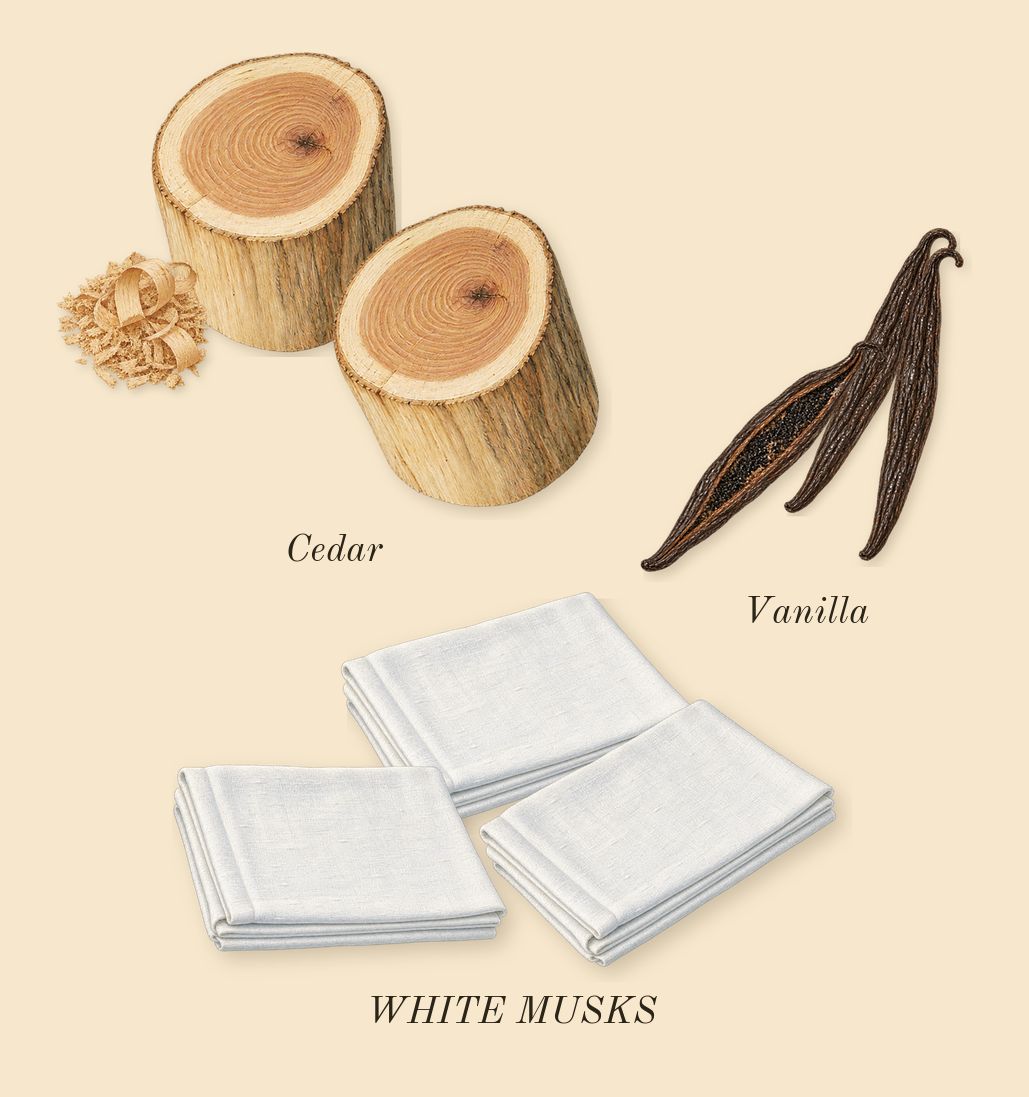 My Way, dry-down: Cedar, Vanilla, WHITE MUSKS