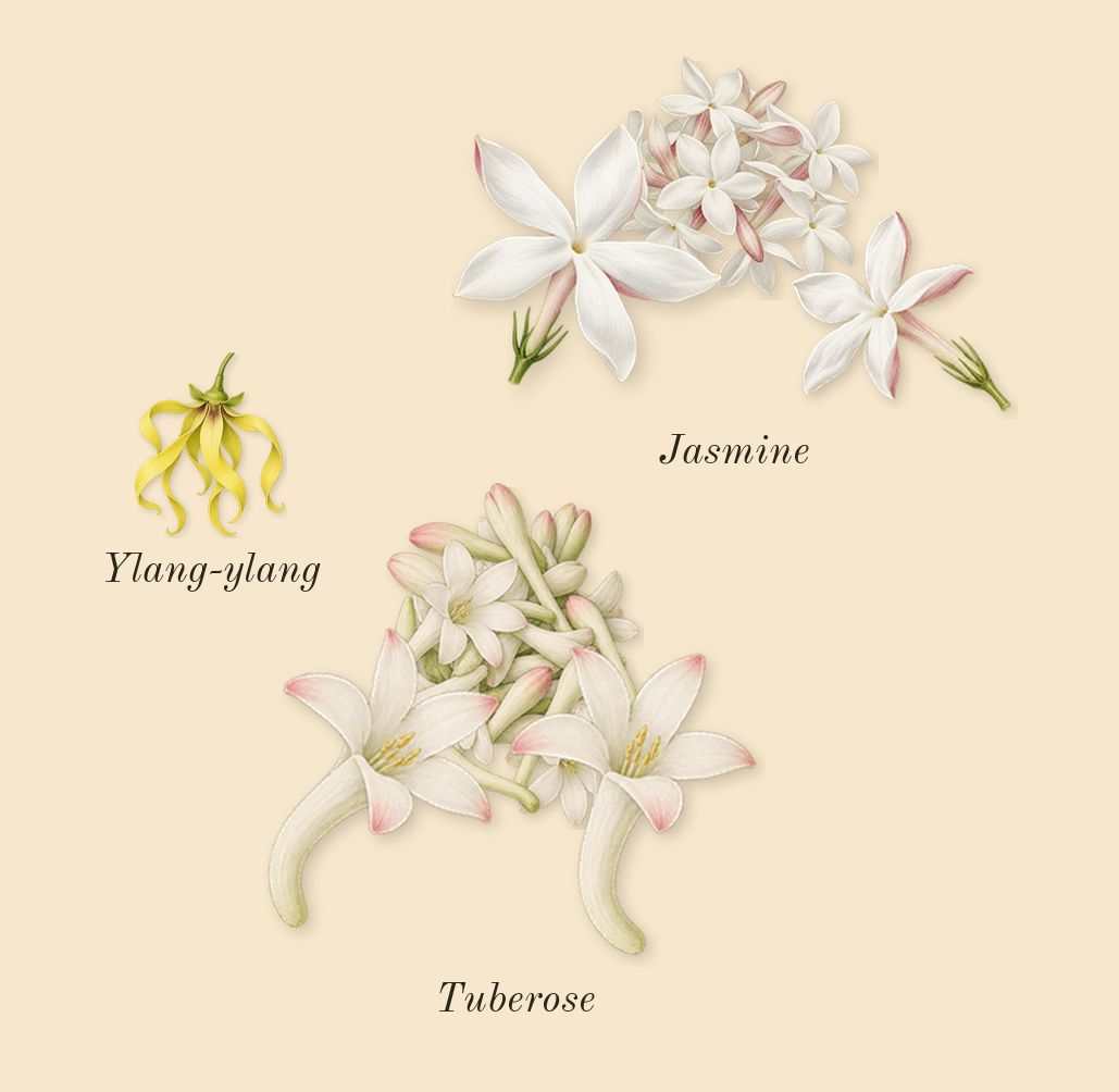 My Way Sunny Vanilla, heart: Tuberose, Jasmine, Ylang-ylang