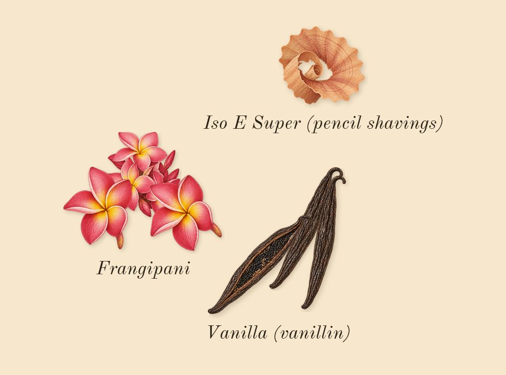 Power of You, dry-down: Frangipani, Vanilla (vanillin), Iso E Super (pencil shavings)