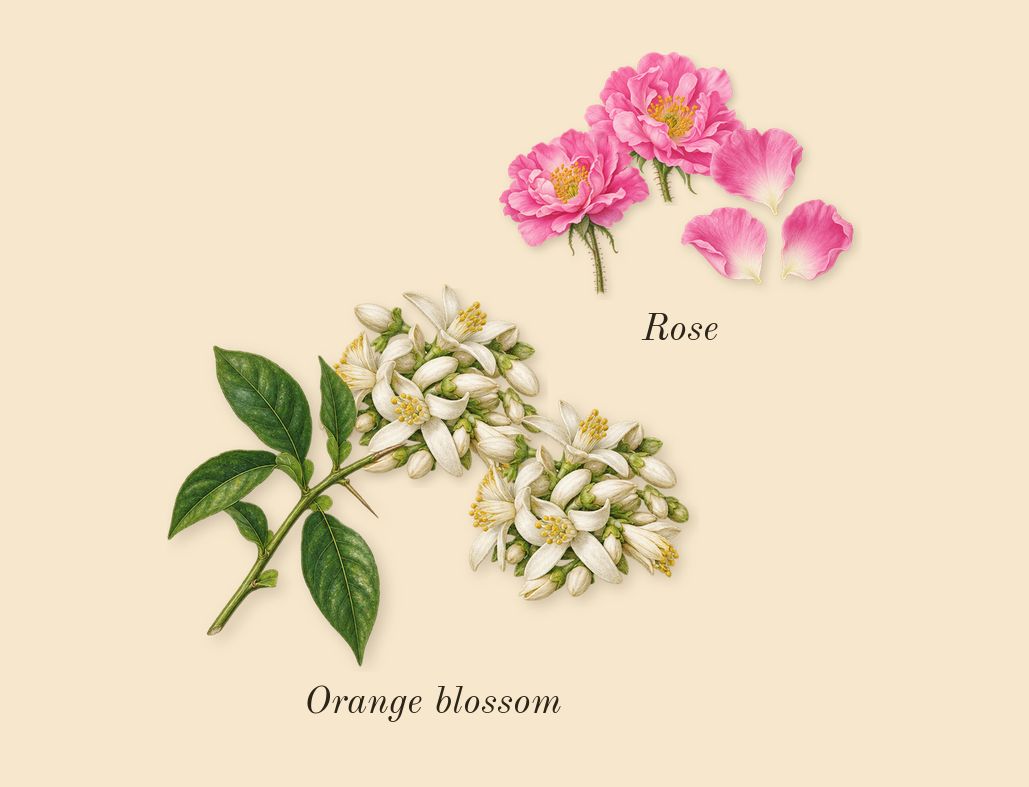 Sì, heart: Orange blossom, Rose