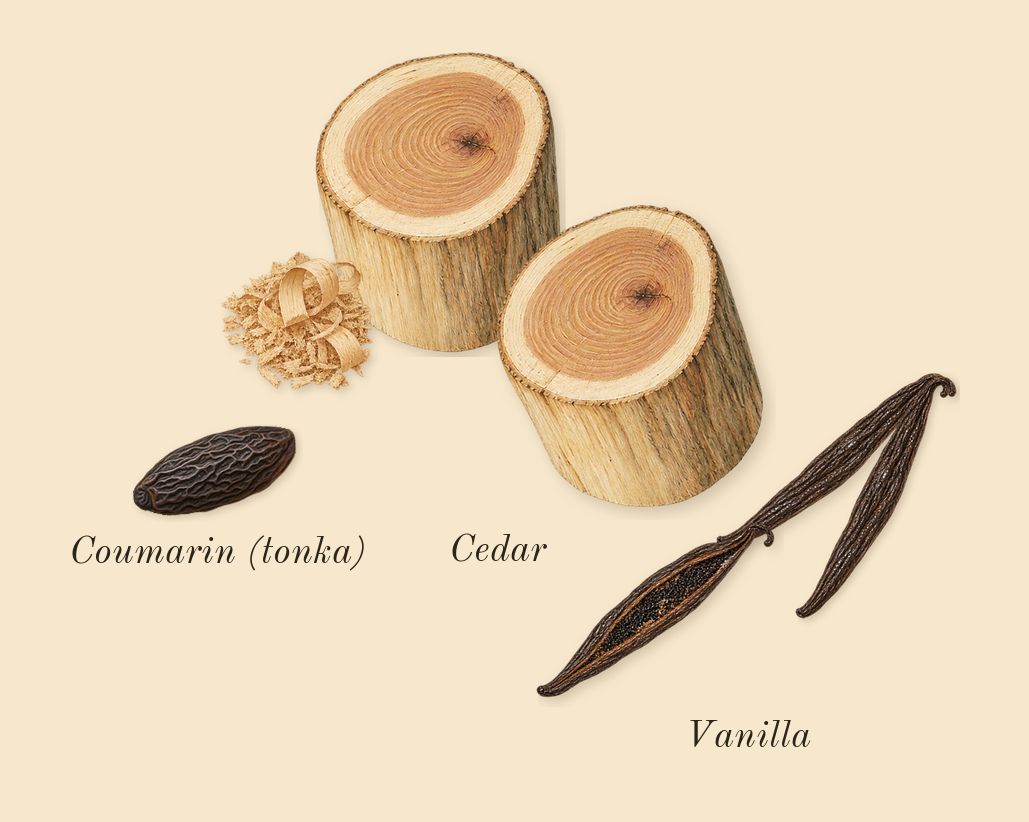 Sì Passione, dry-down: Cedar, Vanilla, Coumarin (tonka)