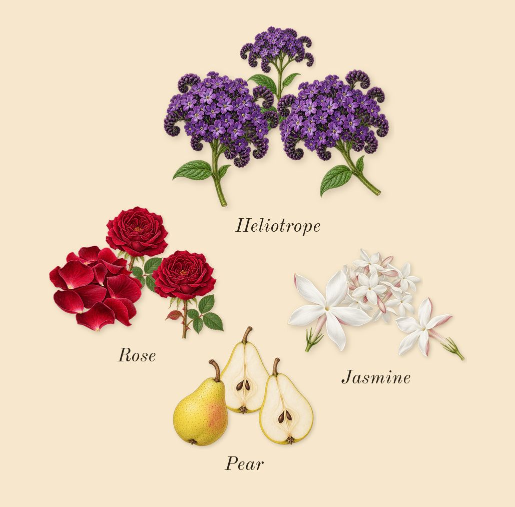 Sì Passione, heart: Jasmine, Pear, Rose, Heliotrope